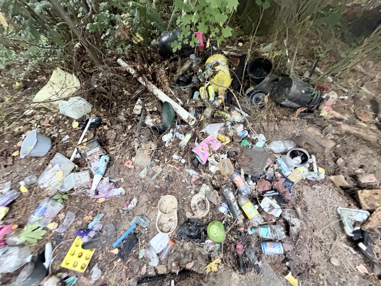 Scattered bottles, containers and household debris across a wooded outdoor property area before cleanup
