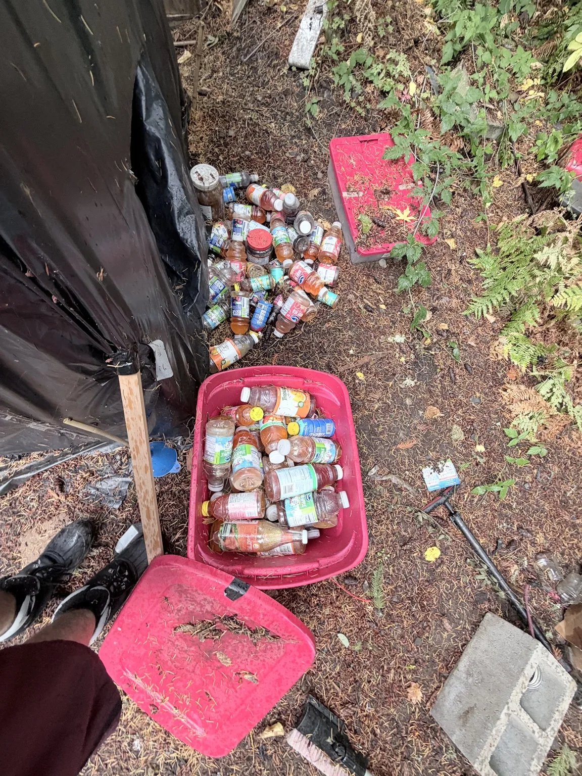 Bottles and containers in and around red storage bins beside an outdoor structure