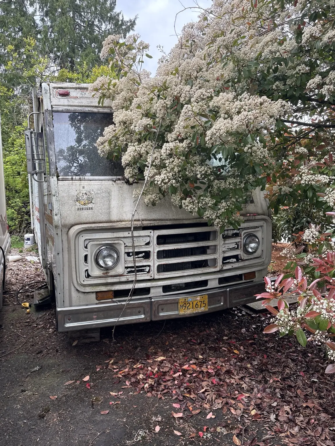 Front view of an older RV surrounded by vegetation during a Portland-area removal assessment